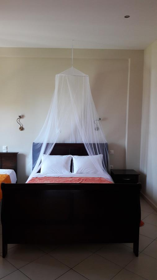 אנדריטסאינה Apollonion Hotel מראה חיצוני תמונה
