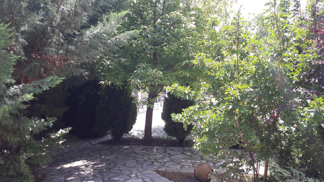 אנדריטסאינה Apollonion Hotel מראה חיצוני תמונה